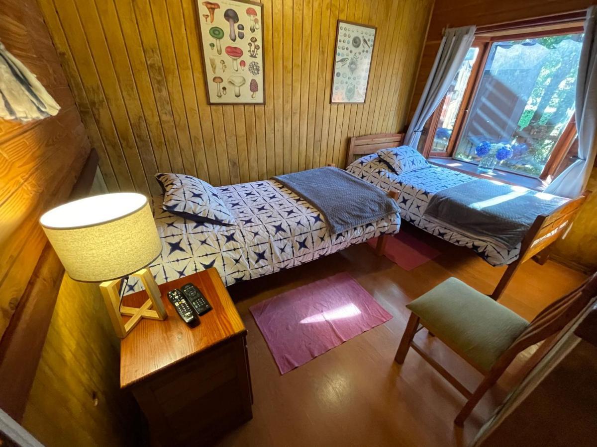 Hostal Pucon Sur Ngoại thất bức ảnh
